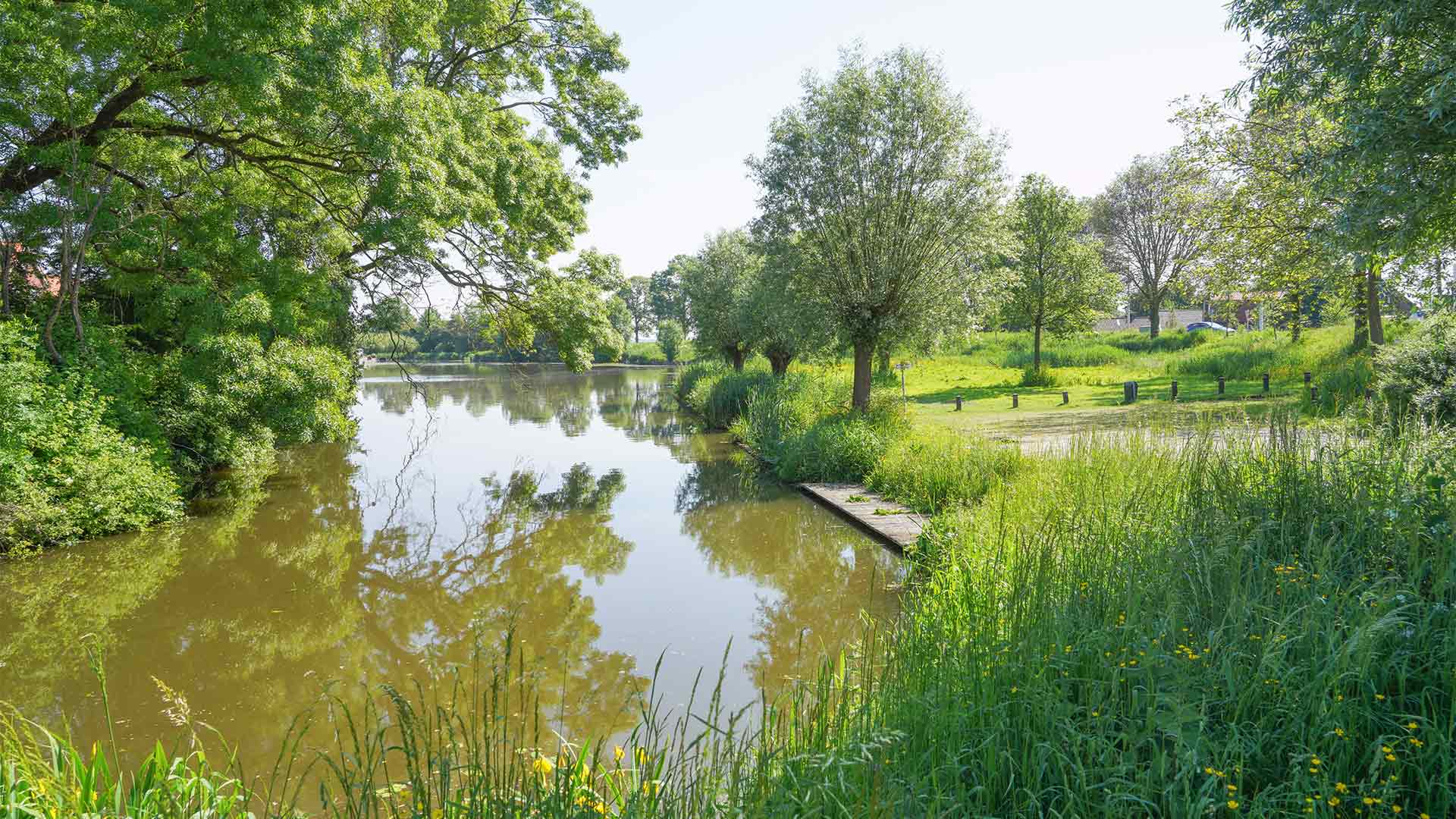 avenhorn het veer noord holland groene omgeving